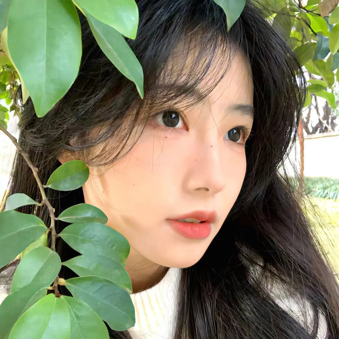 红狐